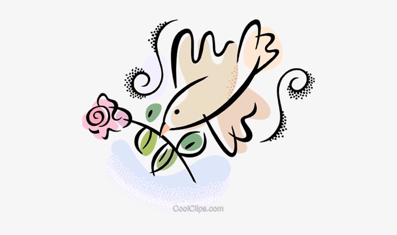 Dove With A Rose Royalty Free Vector Clip Art Illustration - Vector Graphics, transparent png #4191725