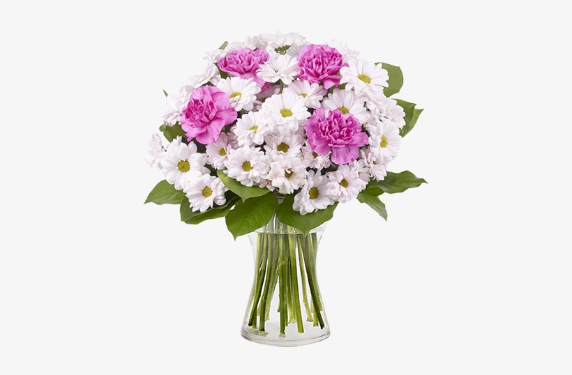 Chrysanthemums & Carnations - Pink, transparent png #4191888