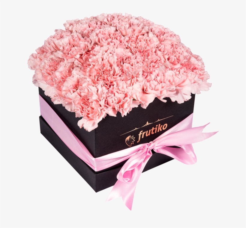 Black Box Of Pink Carnations - Carnation Flowers In A Box, transparent png #4191928
