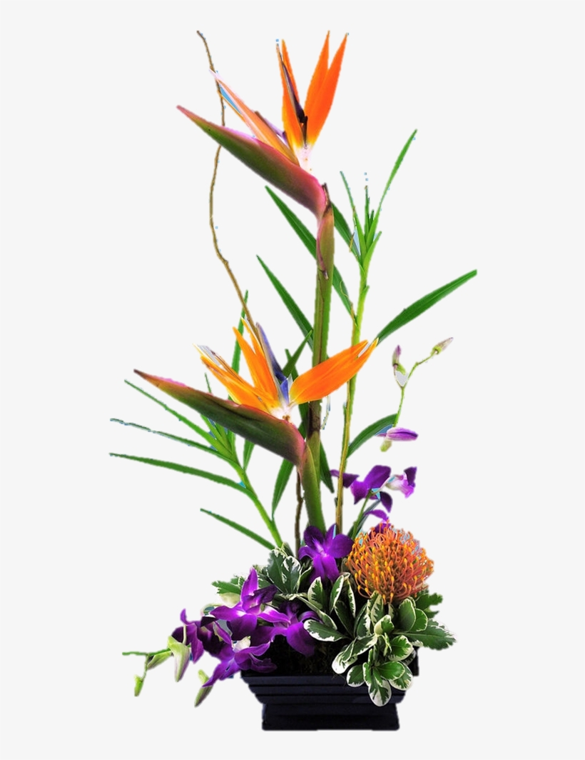 Inviting - Flower, transparent png #4192010