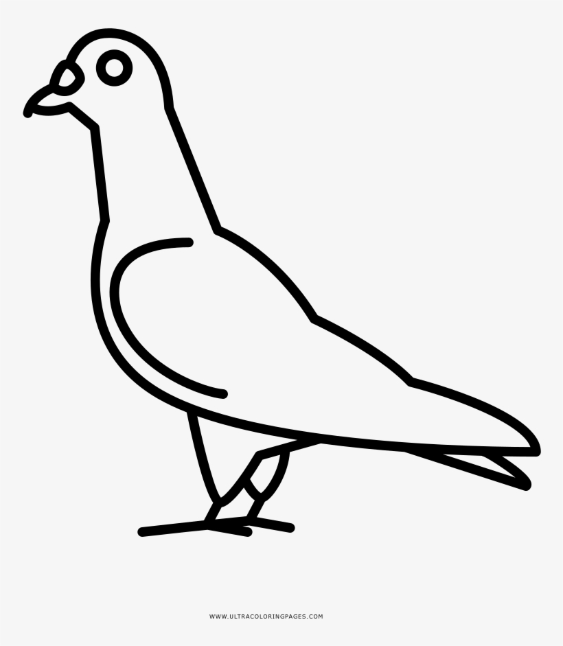 Pigeon Coloring Page - Line Art, transparent png #4192102
