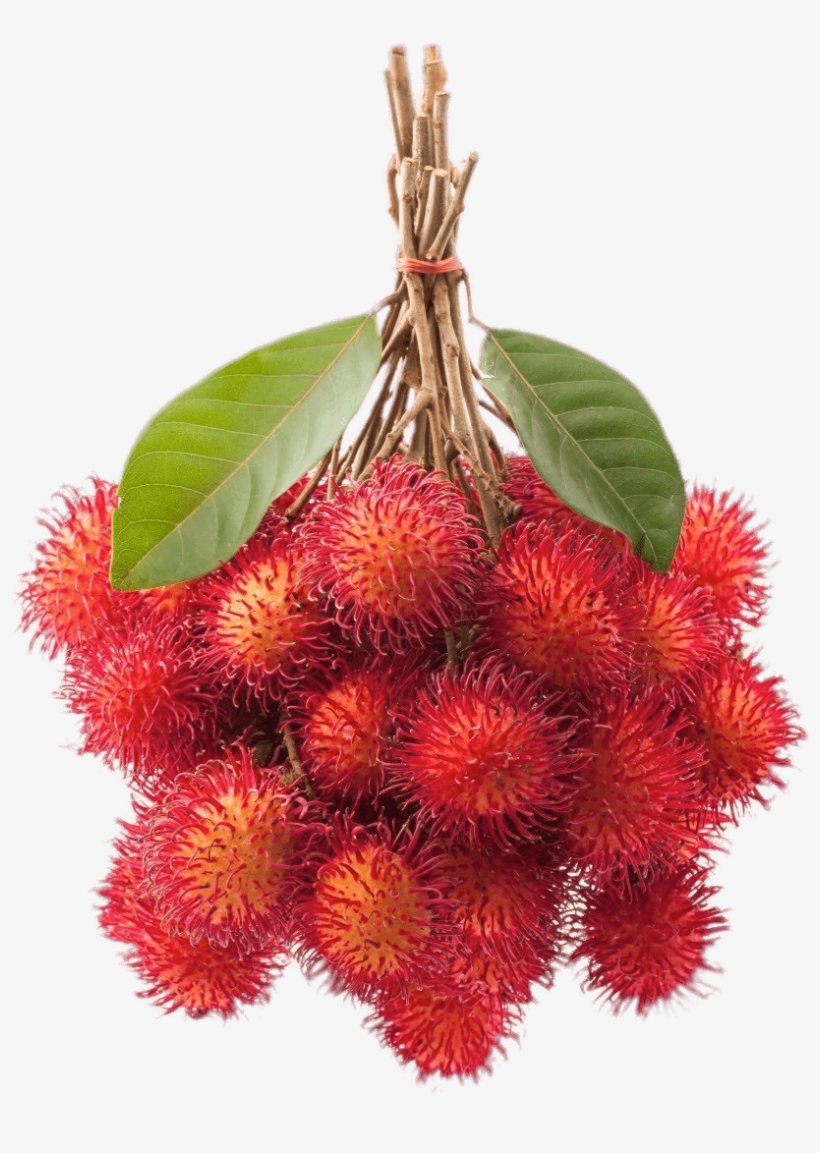 Bunch Of Rambutan - Rambutan Picture Clip Art, transparent png #4192343