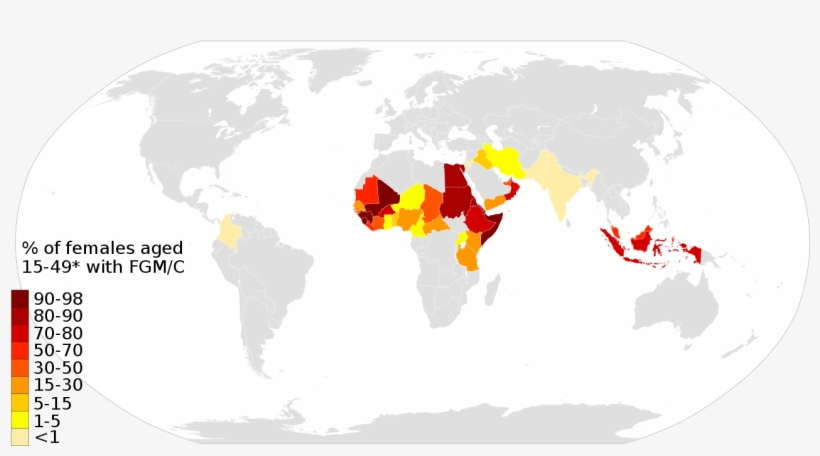 Composite Fgm World Map - Deaths Due To Hiv Aids Per Million Persons In 2012, transparent png #4192496