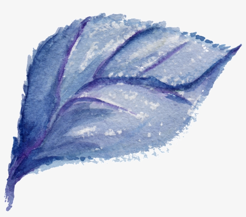 Wave Lychee Leaf Transparent Decorative - Leaf, transparent png #4192520