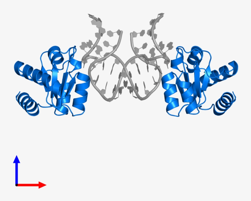 <div Class='caption-body'>pdb Entry 5g4v Contains 2, transparent png #4193815