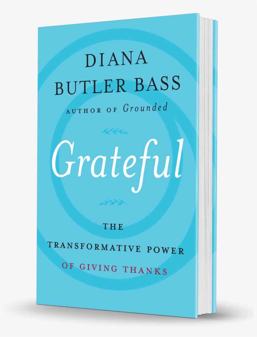 Bass Grateful Hc 3d - Grateful: The Transformative Power Of Giving Thanks, transparent png #4194244