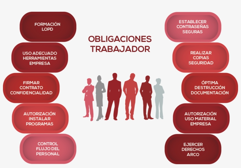 Obligacion Informar A Trabajadores - Derechos Y Obligaciones De Los Trabajadores, transparent png #4194521