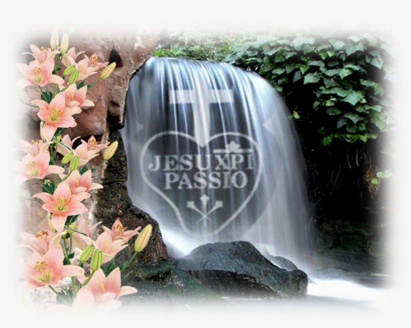 Artificial Flower, transparent png #4194934