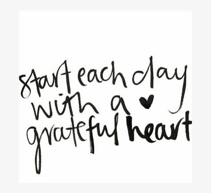 Search For - - Calligraphy, transparent png #4194981