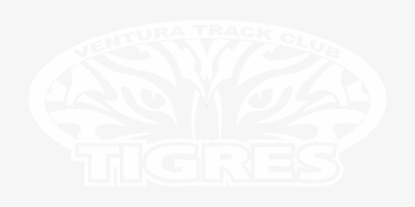 Tigres White Png - Illustration, transparent png #4195215