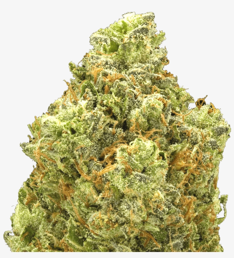 Types Of Weed, transparent png #4195692