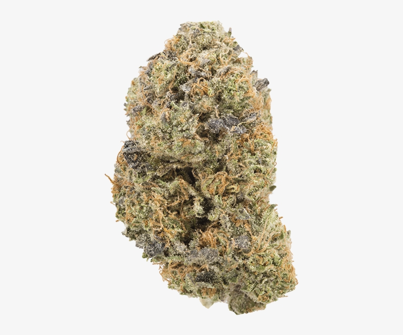 Cherry Kush - Mega Glue Strain, transparent png #4195737