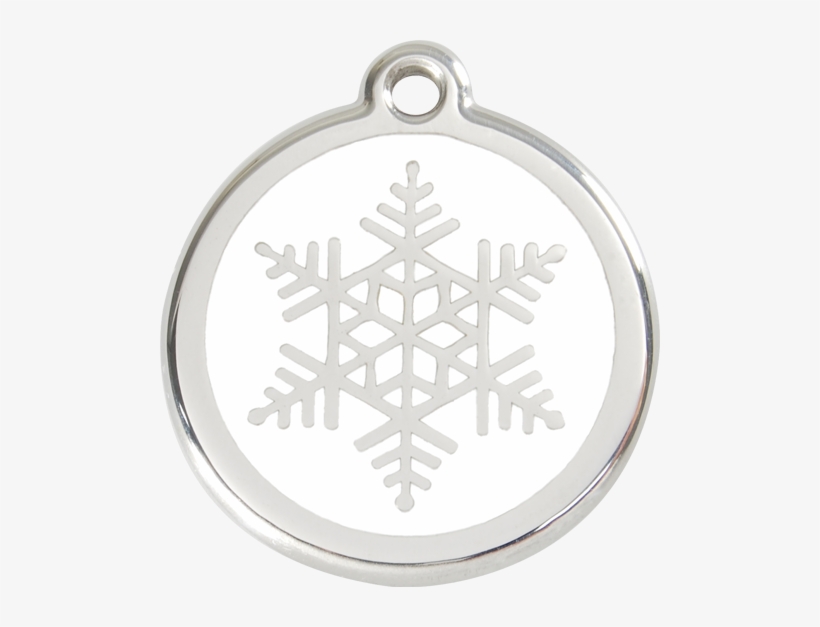 Baby Blue Snowflake Png, transparent png #4195763