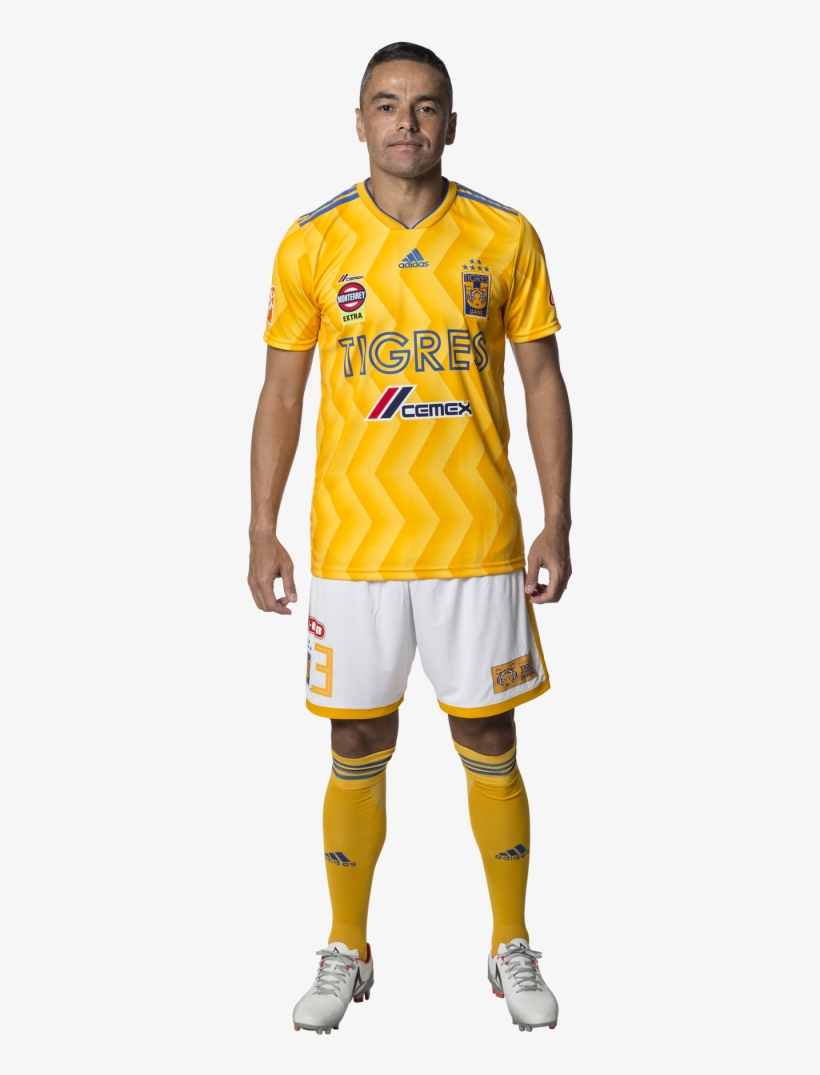 Anselmo Vendrechovsky 'juninho' - Eduardo Vargas Wallpaper 18 Tigres, transparent png #4195764