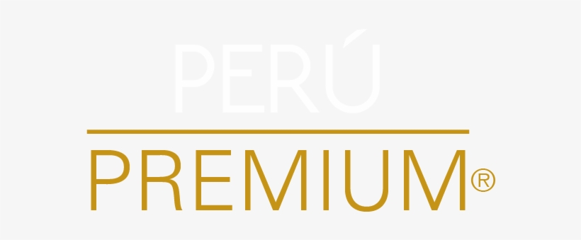 55 85 47 35 60 Cotizar Mi Viaje Ahora 53 39 01 - Premium, transparent png #4196063