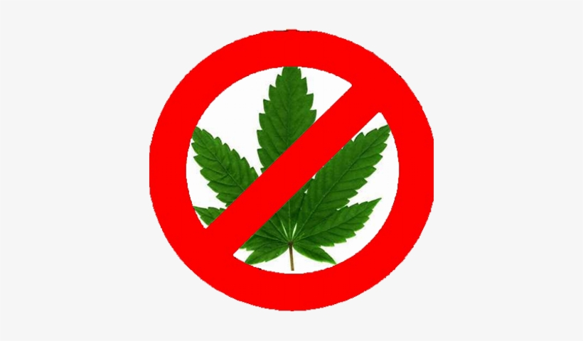 O Brasil E A Maconha - Hanfblatt, transparent png #4196370