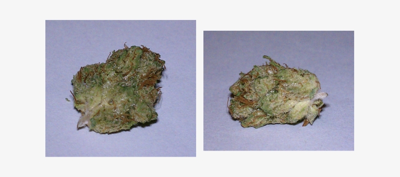 From The One Of The Oldest And Most Respected Dispensaries - Igneous Rock, transparent png #4196801