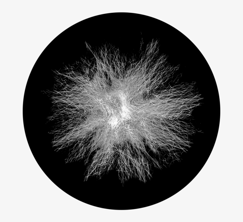 More Views - Apollo Static Dandelion Glass Gobo Sr-2143, transparent png #4197641