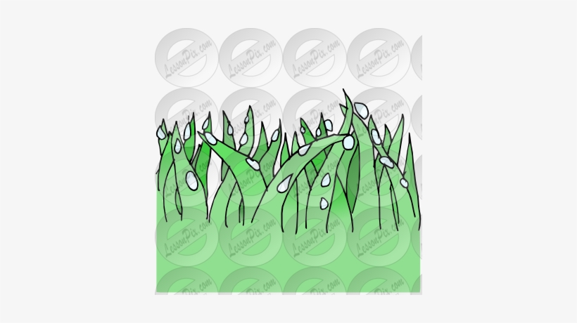 Dew Clipart Grass Drawing - Drawing, transparent png #4197980