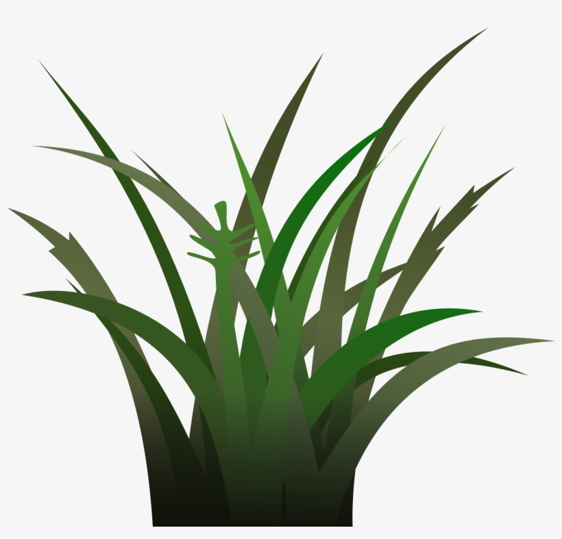 Drawing Of Green Grass - Vegetation Clipart, transparent png #4198298