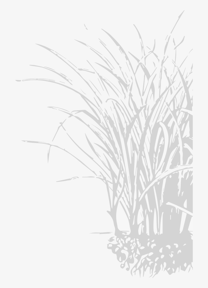 Holistic Management Decision Making Your Land Management - Sketch, transparent png #4198343