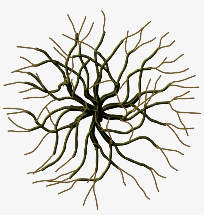 Profantasy Community Forum, transparent png #4198989