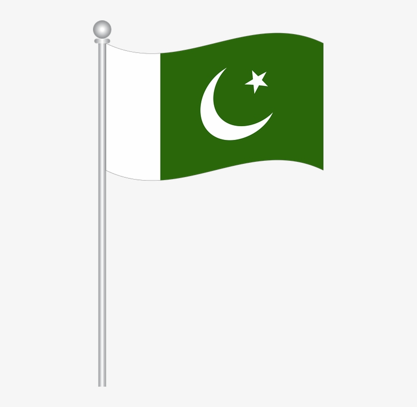Flag Of Pakistan, Flag, Flag Of World, Country, Symbol - Pakistan Flag Vector Png, transparent png #4199019