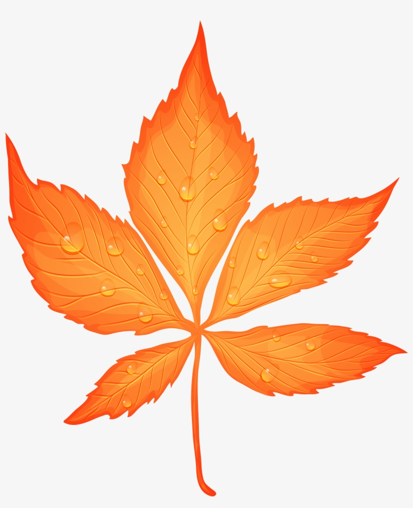 Transparent Autumn Leaf Leaf Png, transparent png #4199851