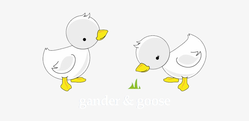 Congratulations Ashton Kutcher & Mila Kunis On Their - Banco Santander-chile, transparent png #420111