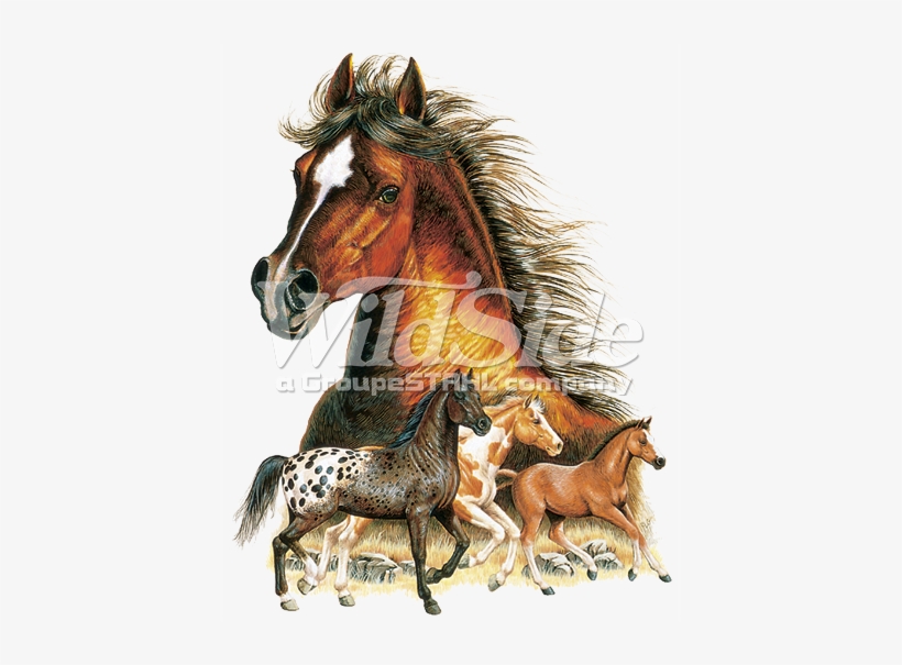 Large Horse Head 3 Horses - Imagenes De Caballos En Gif, transparent png #420280