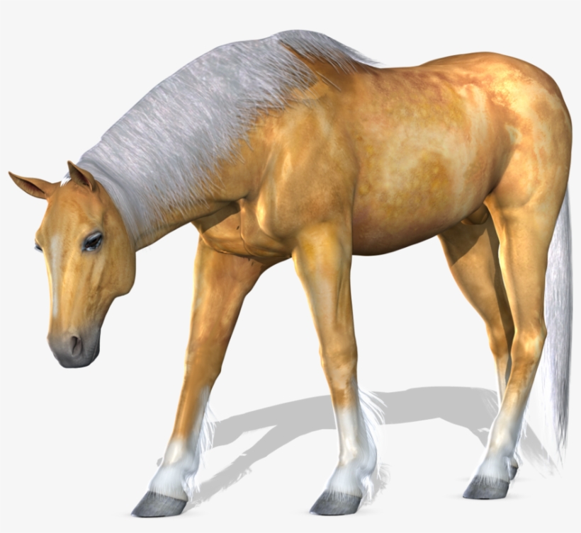 Horse Png Image - Suku Kata Dan Perkataan, transparent png #420351