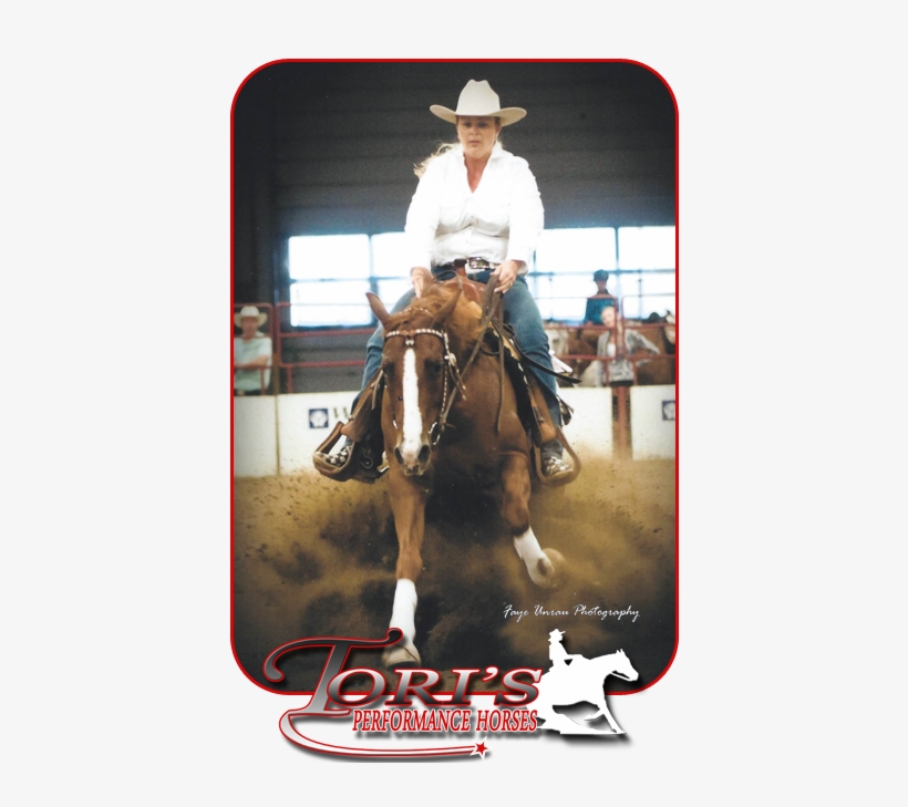 Torihome6 - Horse, transparent png #420400