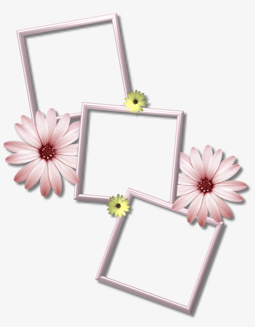 Collage Frame Png Picture - Multiple Photo Frame Png, transparent png #421635