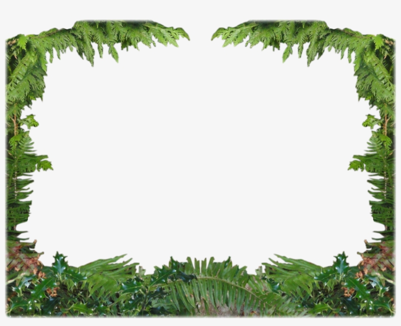 Waterfront Accommodations Sooke Port Cottage Cabin - Forest Border Png, transparent png #422260