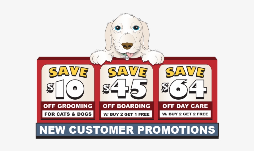 Denver Dog Day Care And Boarding Coupons - Woof In Boots, transparent png #426389