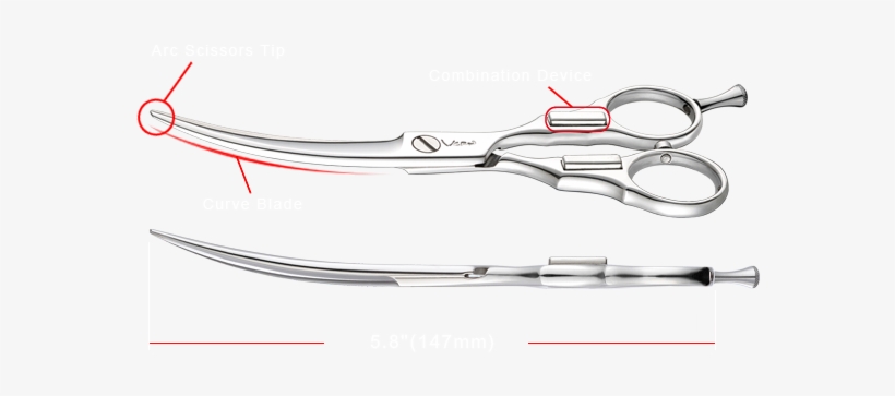 Tijeras, Shears, Scissors, Magnetic Combined Scissors, - Medical Equipment, transparent png #426584