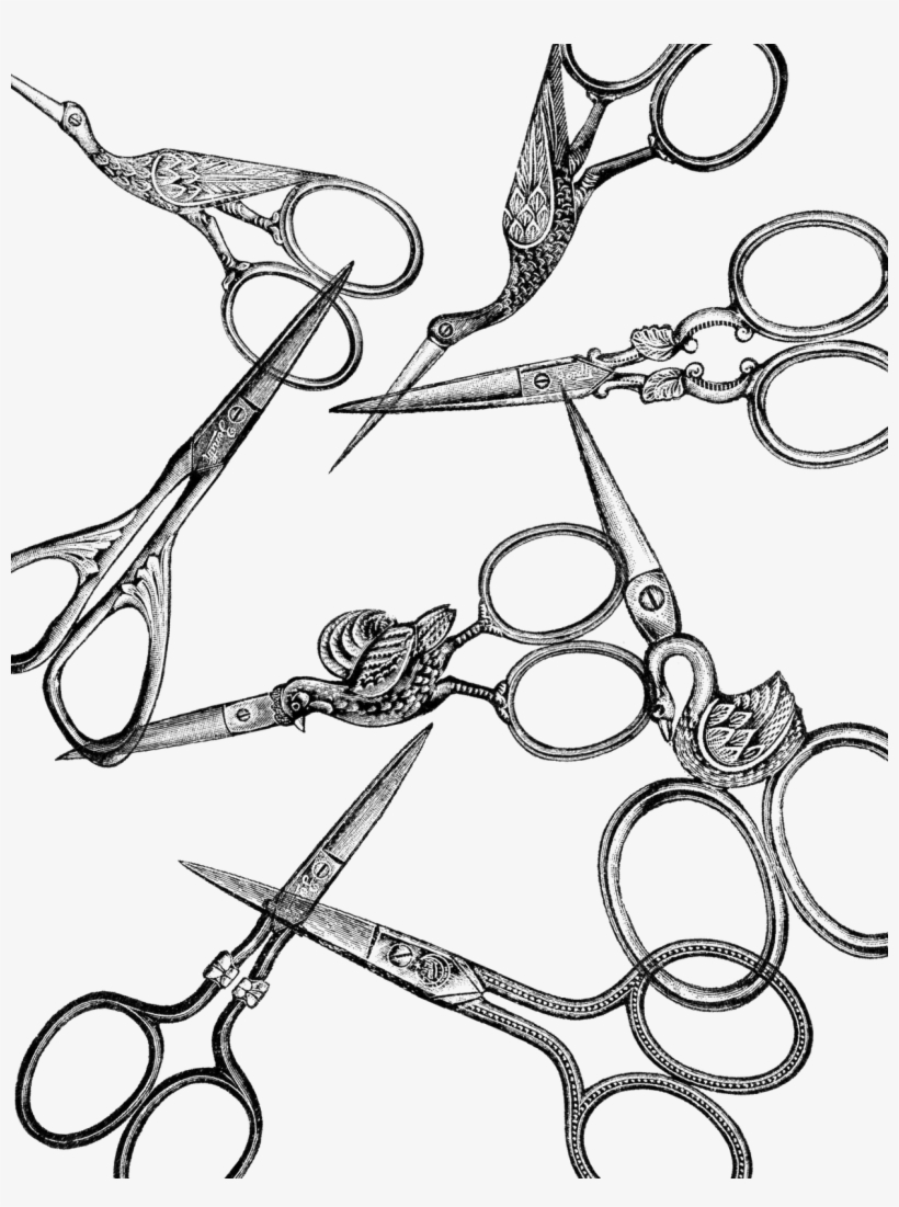Vintage - Embroidery Scissors Drawing Bird, transparent png #426607