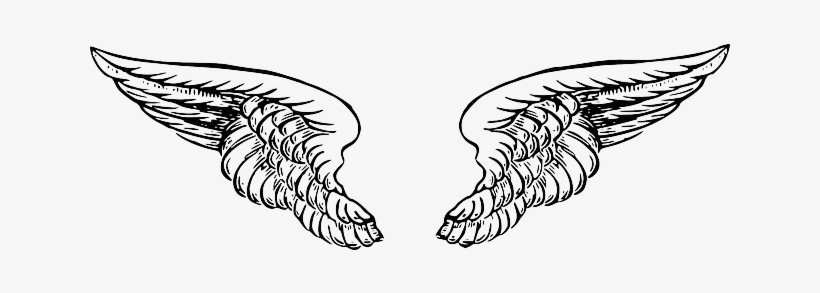 Black, White, Cartoon, Angel, Wing, Wings, Tattoo - Angel Wings Drawing Png, transparent png #426834