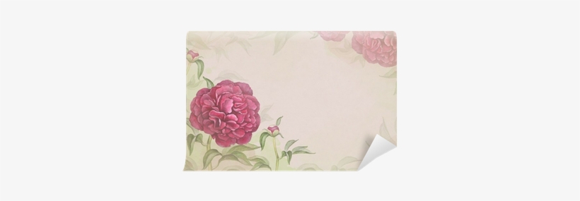 Watercolor Background With Illustration Of Peony Flower - Peony, transparent png #426835