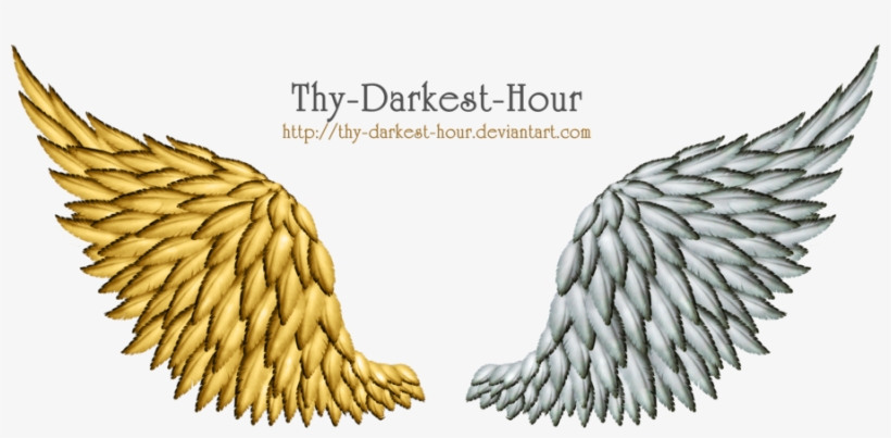 Gold Angel Wings Png - Gold And Silver Wings, transparent png #427591