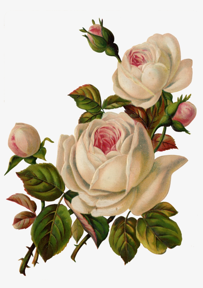 Flores Antigas, transparent png #427760