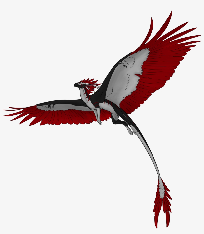 Flying Dragon Png Hd - Dragon Flying Png, transparent png #428408