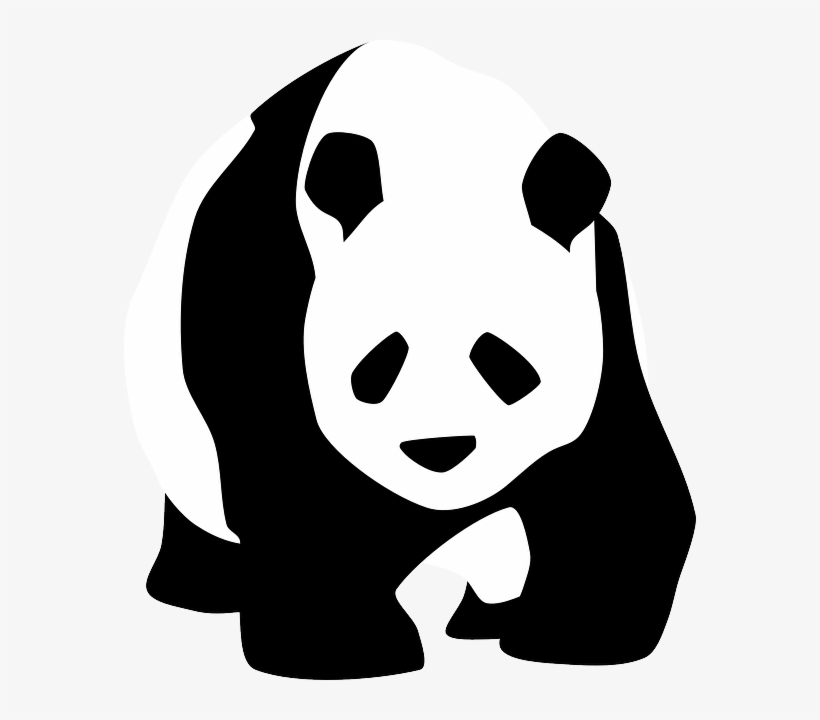 Silhouette, Face, Bamboo, Cartoon, Wild, Bear, Cute - Panda Black And White, transparent png #428839