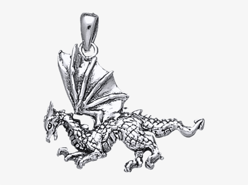 White Bronze Flying Dragon Pendant Locket Free Transparent PNG