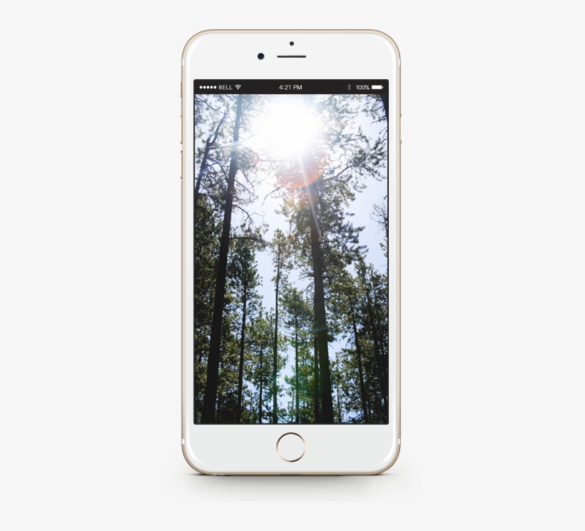 Carousel Transparent Background - You May Be Gone From My Sight But Not My Heart, transparent png #429662