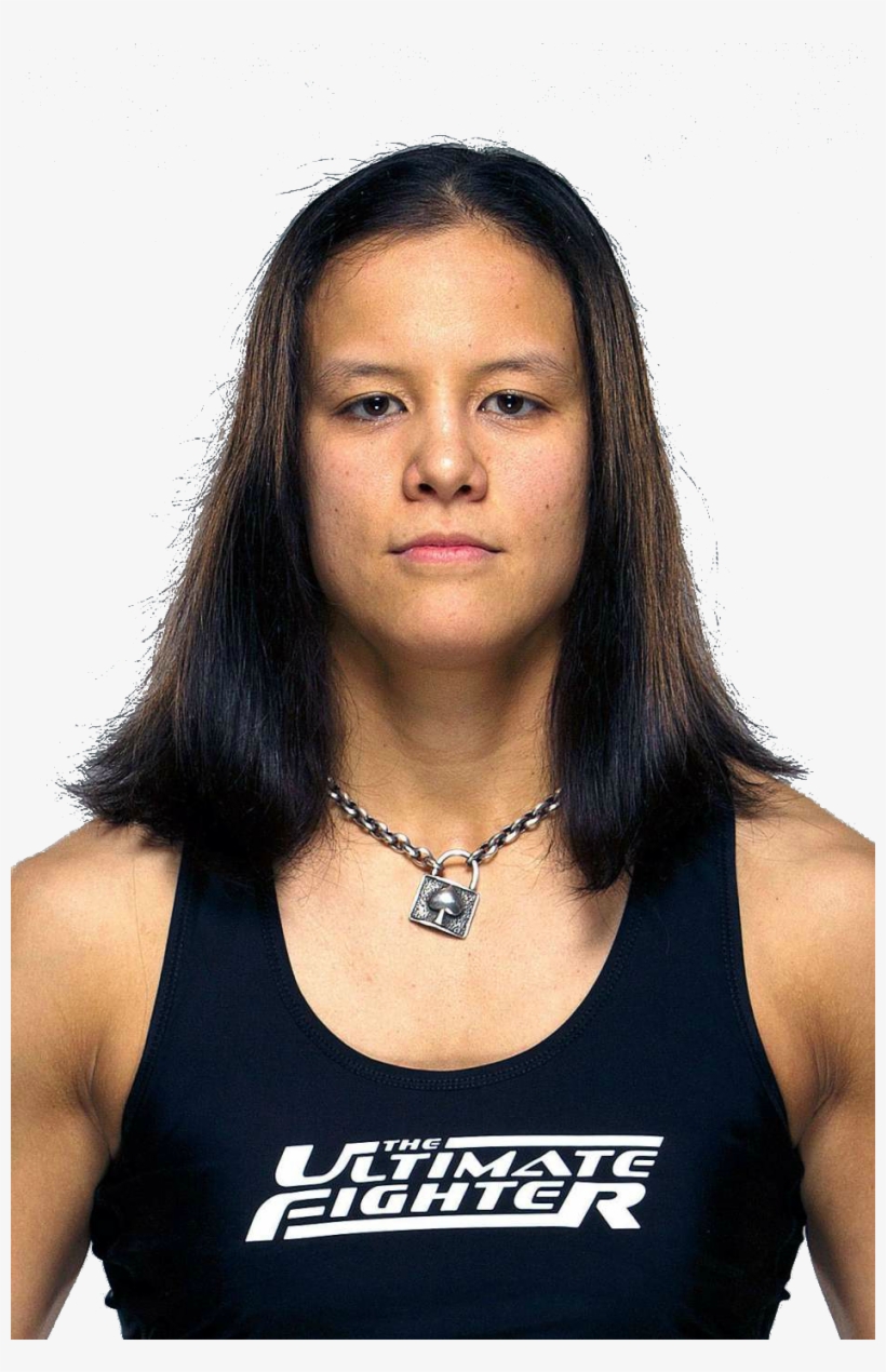 Template Images - - Ultimate Fighter, transparent png #4200202