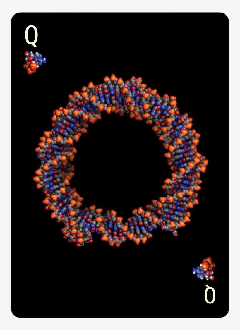 Queen Of Nucleotides - Circle, transparent png #4200289