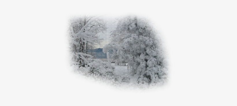 Winter, transparent png #4200754