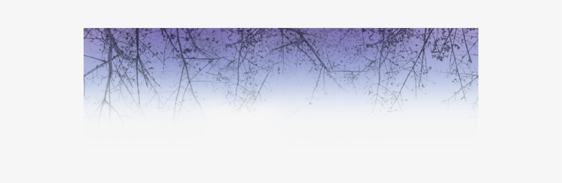 Winter-scene - Grass, transparent png #4201029