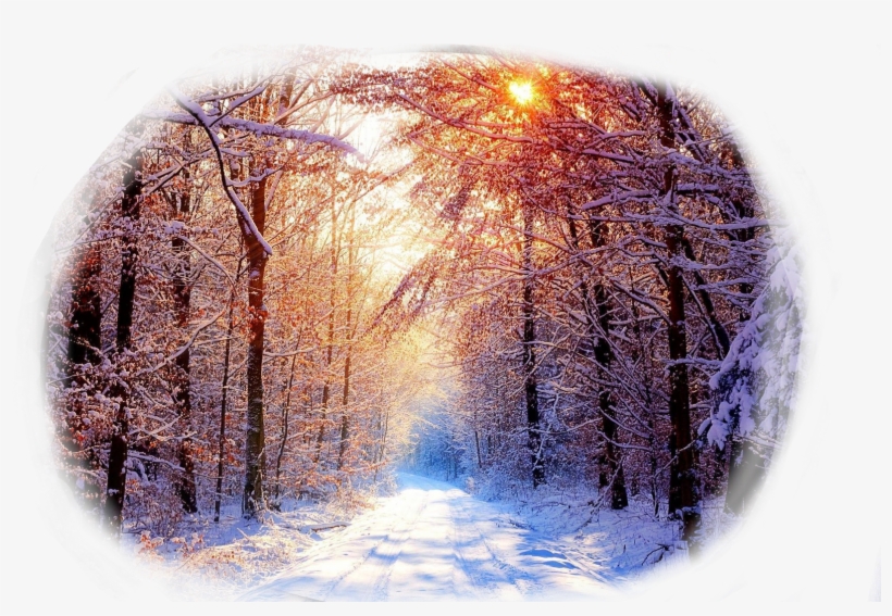 Report Abuse - Beautiful Winter Background, transparent png #4201170